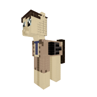 New Pony