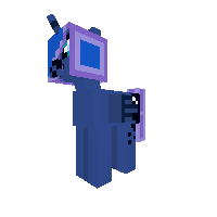 New Pony