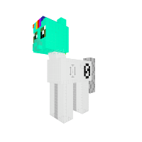 New Pony