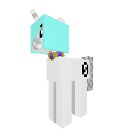 New Pony