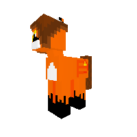 FireFox