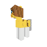 New Pony