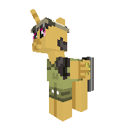 New Pony