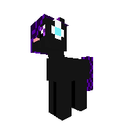 ender kotik