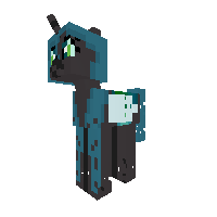 New Pony