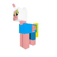Finn
