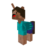 Steve!