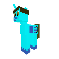 Sky's Pony