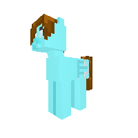 New Pony