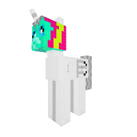 New Pony