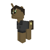 New Pony