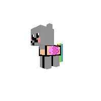 nyan cat