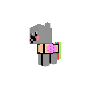pop tart cat