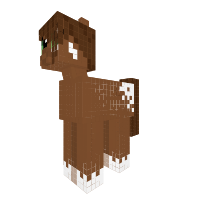 Appaloosa