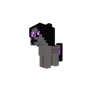 New Pony