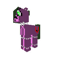 wisdy coll