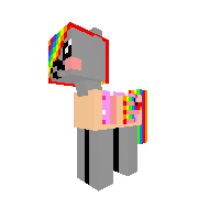 New Pony