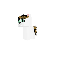 Meadow the Cat