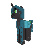 New Pony