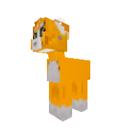 New Pony