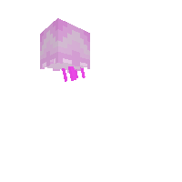 jelly fish