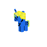 New Pony