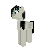 New Pony