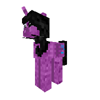 Beatiuful Pet