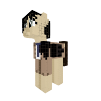 New Pony