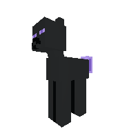 ender pony