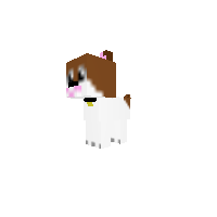 maple