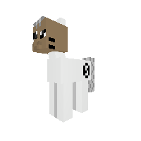 New Pony
