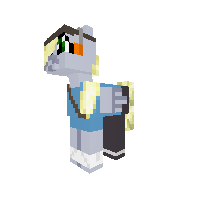 rip old pony skin craft