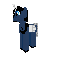 New Pony
