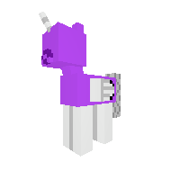 New Pony