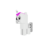 New Pony
