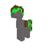NewPony