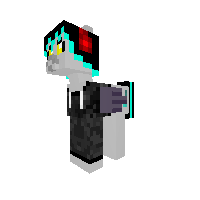 DJ street pony