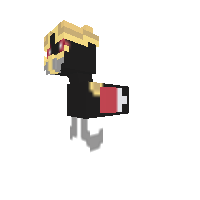 ninjask