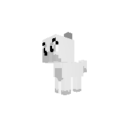 puppy bass