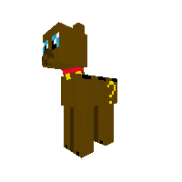 New Pony