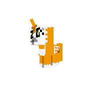 New Pony