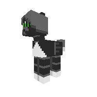 ??? The Cat