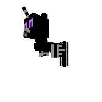 ender dragon