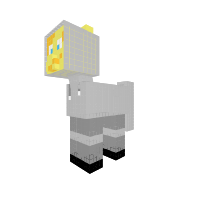 ash pony