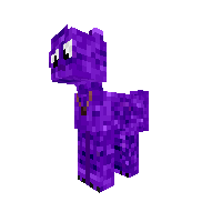 Vinc the cat