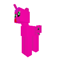 Pony of Computer