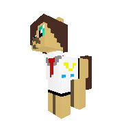 Pony airline pilot