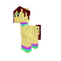 Sara the pony