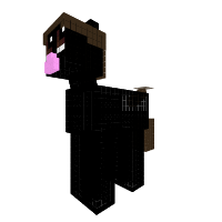 Black Pony